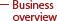 Business overview